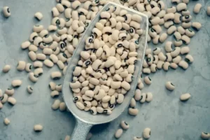 Grains secs