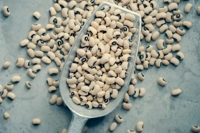 Grains secs