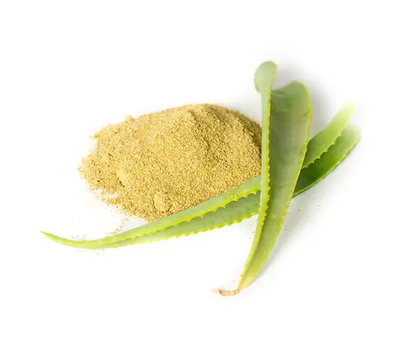 aloe macroclada Agriexport